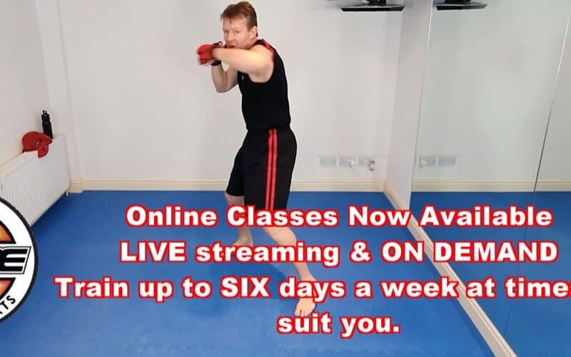 online kickboxing