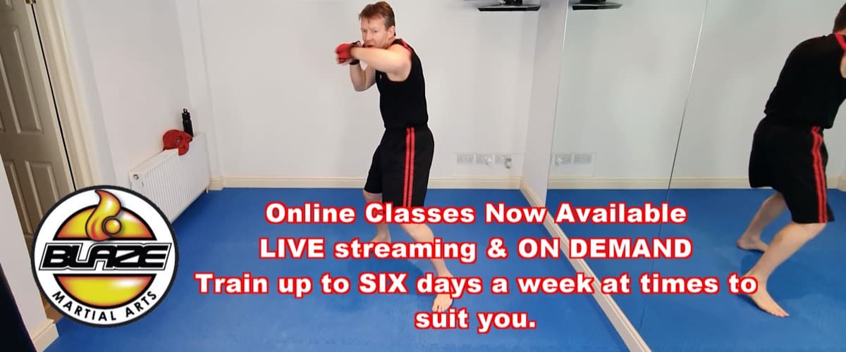 online kickboxing